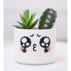 Cute Mini Plant Pots 7*8.5 CM Crying Face